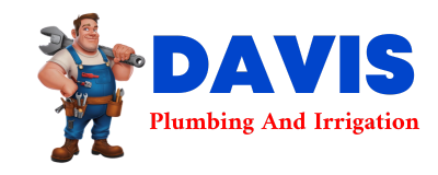 Trusted plumber in CARMEN